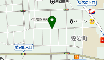 パチュリの地図画像