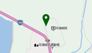 河浦薬局の地図画像