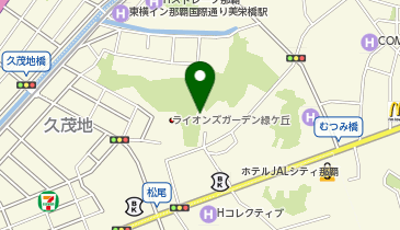 那覇市役所 こどもみらい部 こども政策課 那覇市緑ヶ丘公園集会所の地図画像
