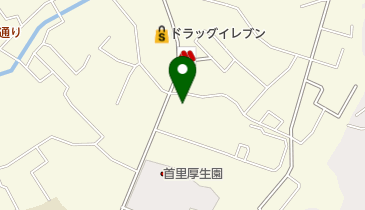 沖縄県庁 子ども生活福祉部 中央児童相談所の地図画像