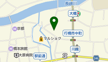 ビナスカメラの地図画像