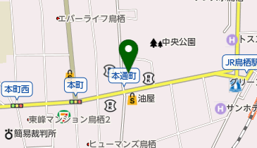 からだ未来整骨院の地図画像