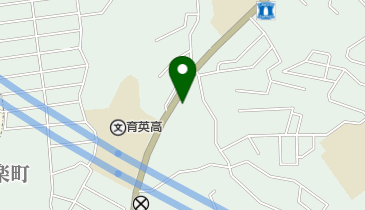 オプト・ニシカワの地図画像