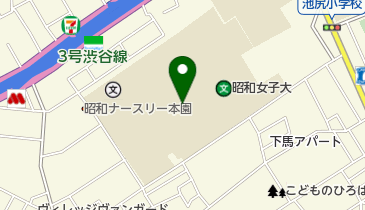 IVYCS・CLS昭和女子大店の地図画像