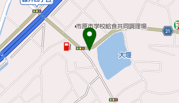 マウスの地図画像