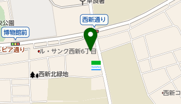 九州英数学舘国際言語学院西新寮の地図画像