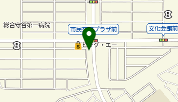 守谷カイロプラクティック院の地図画像