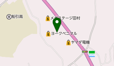 ほぐしま専科田村店の地図画像
