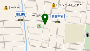 新曽芦原はしもと整骨院・鍼灸院の地図画像