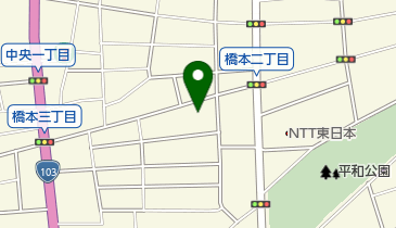 テック調剤薬局橋本店の地図画像
