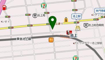 パレットプラザ 池上店の地図画像