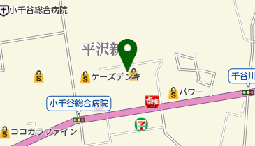 ペットアミ小千谷店の地図画像