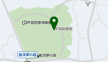 甲賀市役所 健康福祉部 すこやか支援課 甲賀市甲賀地域包括支援センターの地図画像