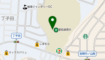 ハロー薬局愛知淑徳大学前店の地図画像