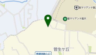 防衛省防衛装備庁艦艇装備研究所川崎支所の地図画像