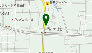 進学ゼミナール 八尾校の地図画像