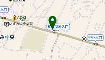 イヅミ薬局の地図画像