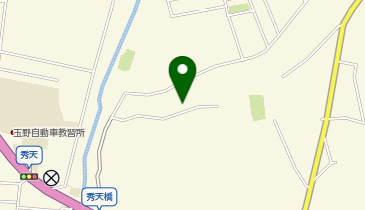 カイロプラクティックサロンスクワーヴァティーの地図画像