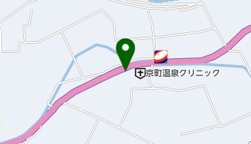 ヘルシー薬局京町店の地図画像