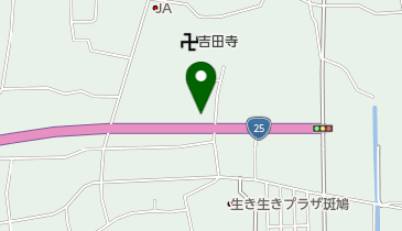 CarFutureの地図画像