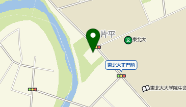 仙台市 片平市民センターの地図画像