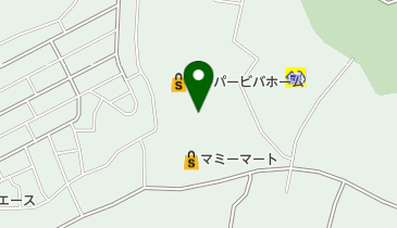 マナウス岩槻店の地図画像