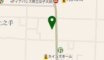 かみのて整骨院の地図画像