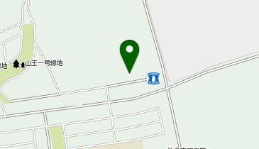 山王の家の地図画像