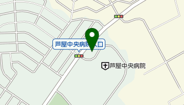 溝上薬局芦屋中央病院前店の地図画像