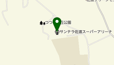 サンテラ佐渡スーパーアリーナの地図画像
