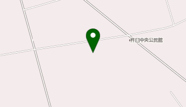 真教寺の地図画像