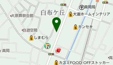 おおがね整骨院真岡中央院の地図画像