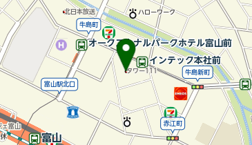 AIG損害保険株式会社 富山支店の地図画像