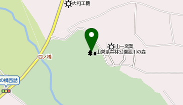 山梨県森林公園金川の森サービスセンターの地図画像