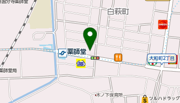 在宅支援センターやくしどう調剤薬局の地図画像