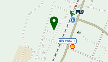 玉井花店の地図画像