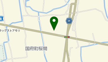 カースポットトクシマ国府店の地図画像