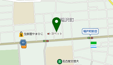 フィットイージー稲沢公園前店の地図画像