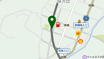 スウィンガアーの地図画像