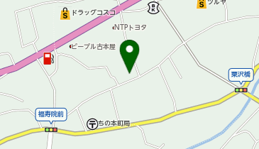 メリーパーク 大和屋の地図画像