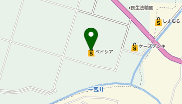 100円ショップセリアベイシア長生店の地図画像