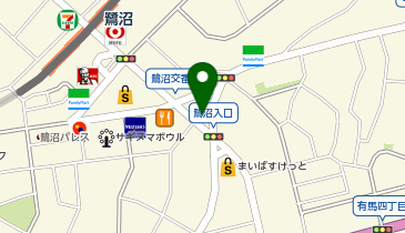 日本調剤鷺沼薬局の地図画像