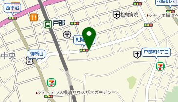 勝谷ファーマシー横浜の地図画像