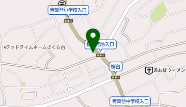 ペットプラストリミングサロン青葉台店の地図画像