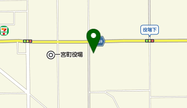 イルカ薬局の地図画像