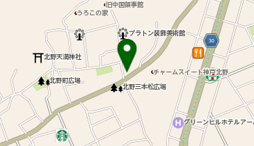 ザサルトリーストレイツの地図画像