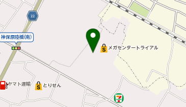 ブルースカイランドリーメガセンタートライアル上里店の地図画像