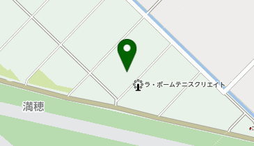 イワタニ四国株式会社 徳島支店の地図画像