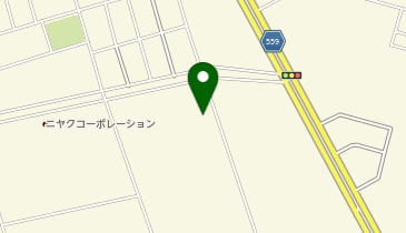 ProMotorの地図画像