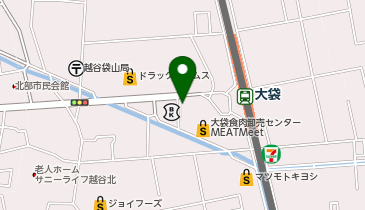 越谷慶友整形外科リウマチ科の地図画像